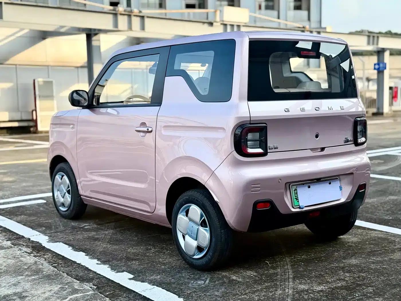 Panda 2023 Panda Mini 200km Endurance Bear — миниатюра 9