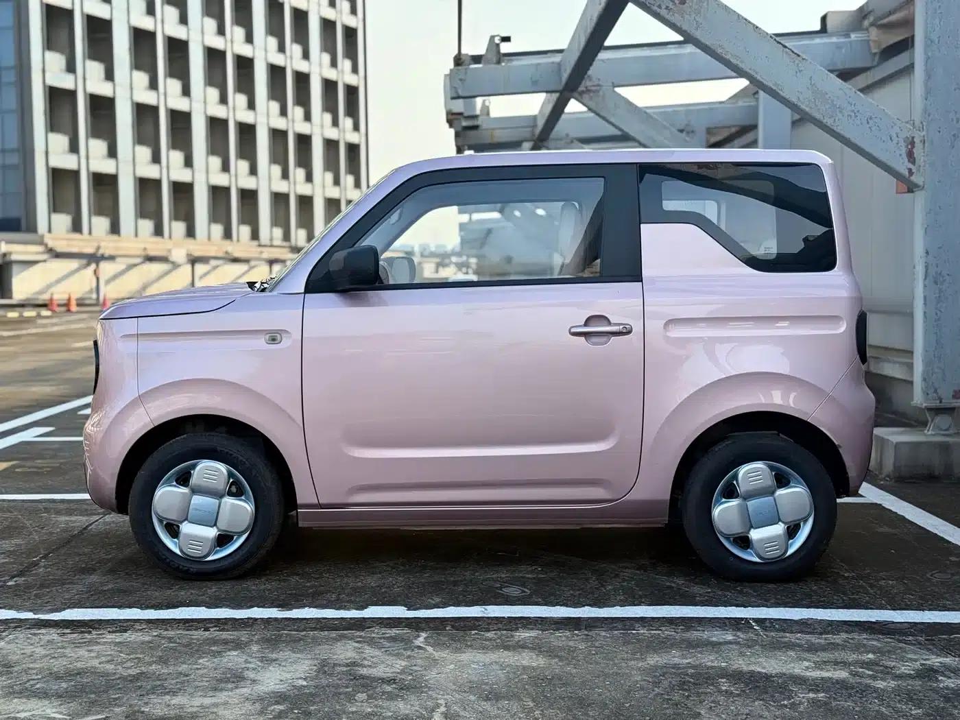 Panda 2023 Panda Mini 200km Endurance Bear — миниатюра 10