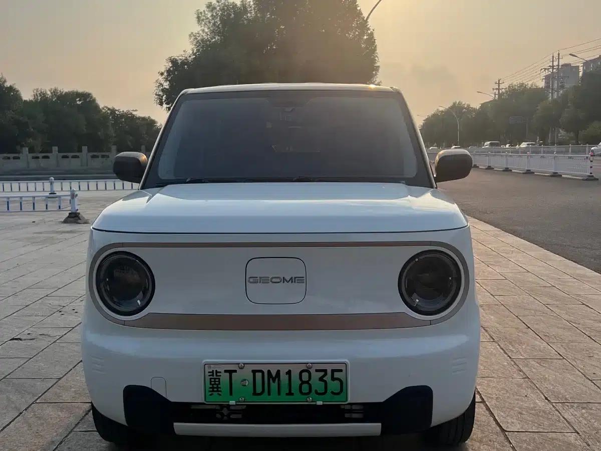 Panda 2023 Panda Mini 200km Endurance Bear — миниатюра 2
