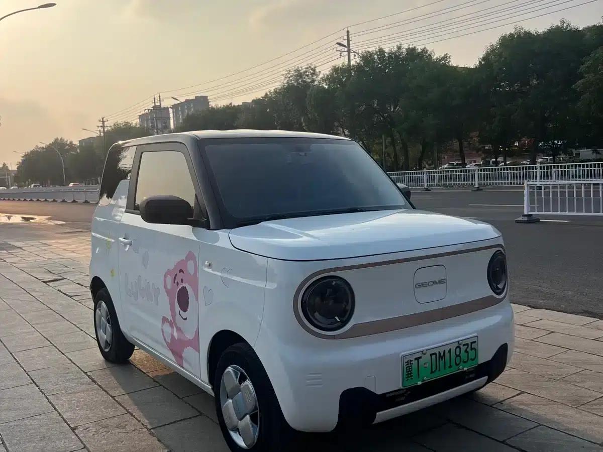 Panda 2023 Panda Mini 200km Endurance Bear — миниатюра 3