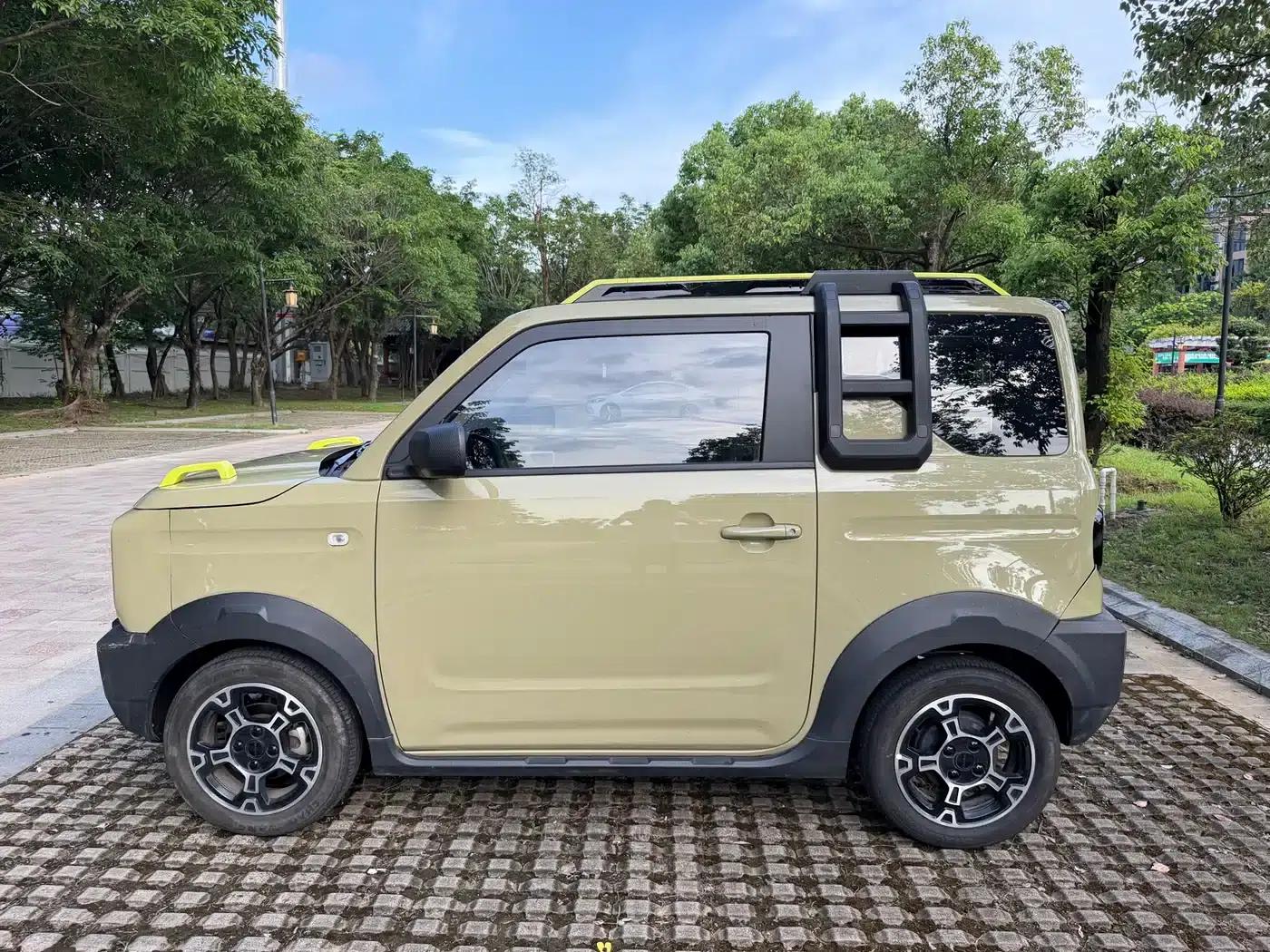 Panda 2024 Model 200km Panda Rider — миниатюра 12