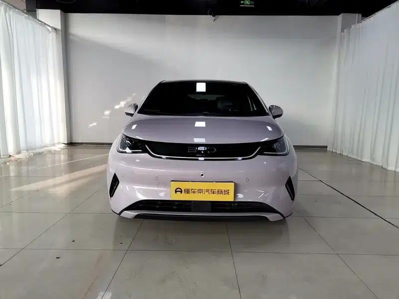 Dolphin 2025 Smart Driving Edition 410KM Fashion Edition — миниатюра 2
