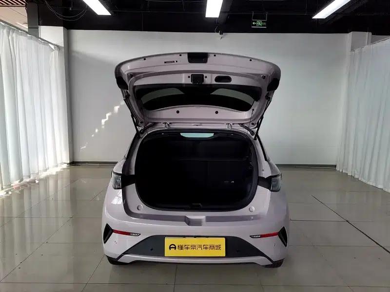 Dolphin 2025 Smart Driving Edition 410KM Fashion Edition — миниатюра 20
