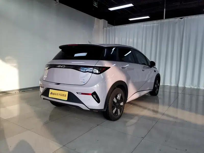 Dolphin 2025 Smart Driving Edition 410KM Fashion Edition — миниатюра 7