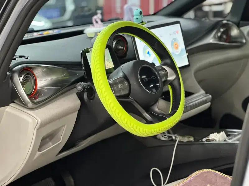 Dolphin 2021 Knight Edition — миниатюра 16