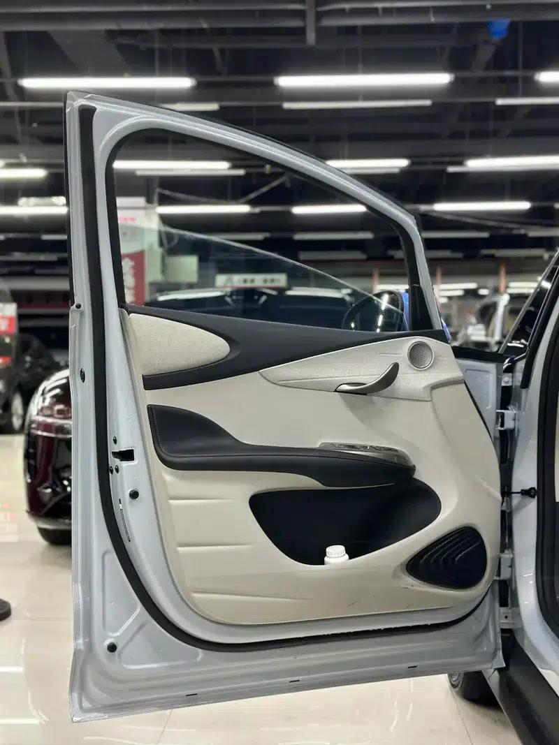 Dolphin 2021 Knight Edition — миниатюра 22