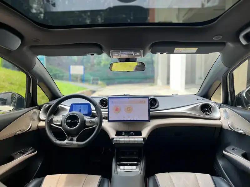 Dolphin 2024 Glory Edition 420km Fashion Edition — миниатюра 6