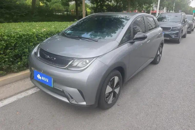 Dolphin 2023 Freedom Edition — миниатюра 1