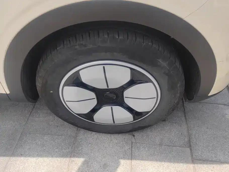 Star Wish 2025 310km Youth Edition — миниатюра 6