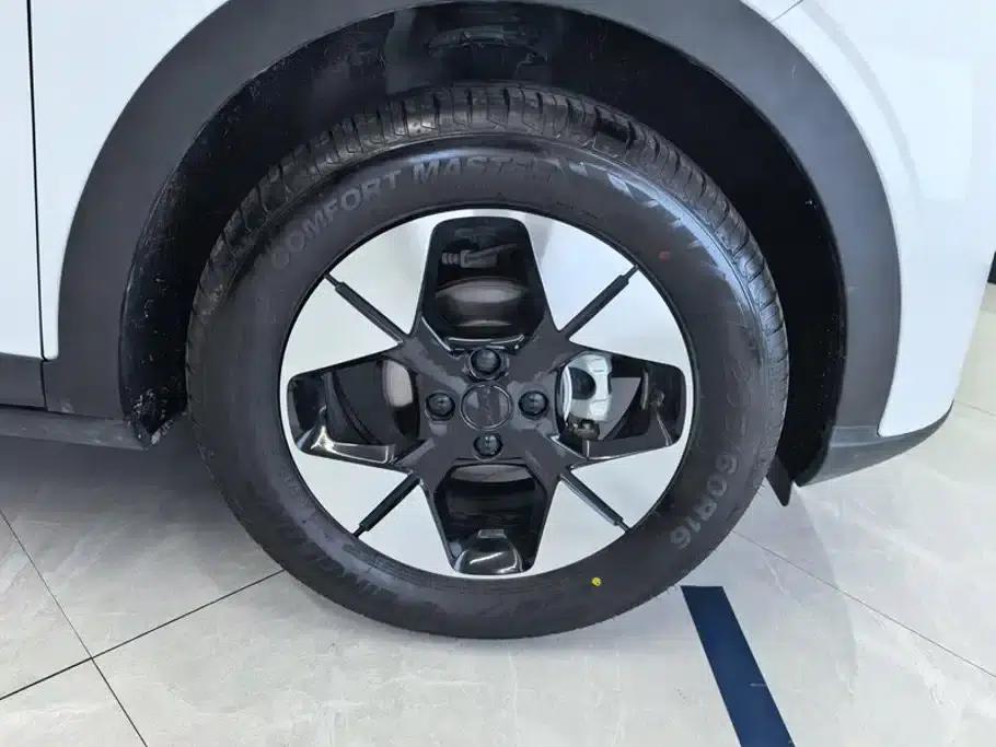 Star Wish 2025 310km Dream Edition — миниатюра 6