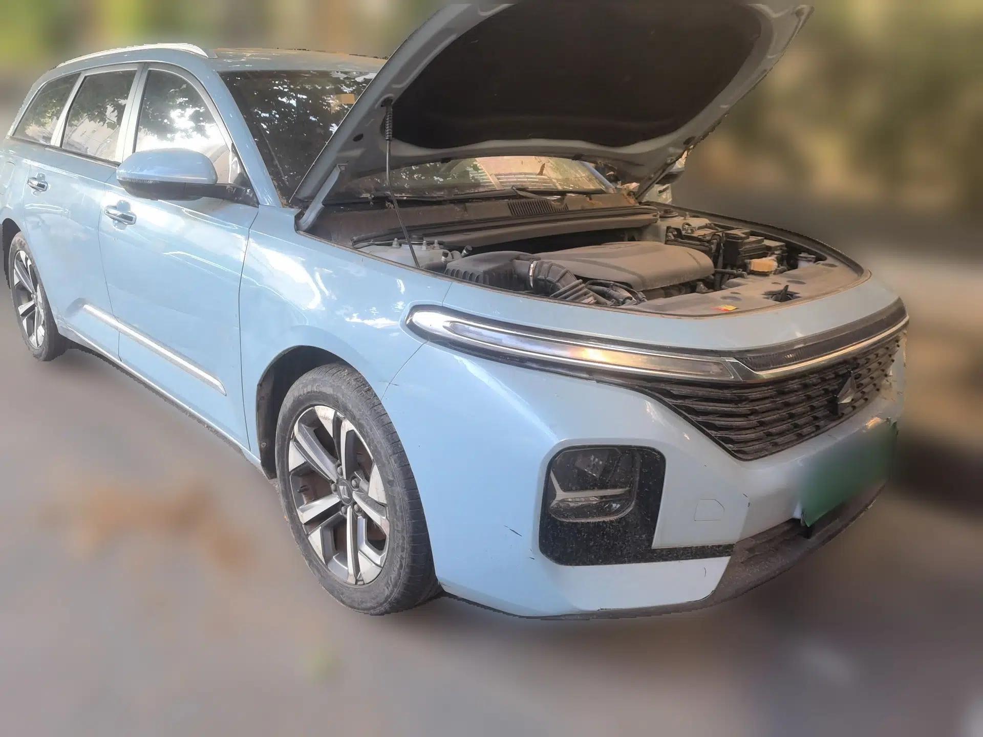 Baojun Valli 2021 1.5T Yili Pasture CVT Luxury Model — миниатюра 3