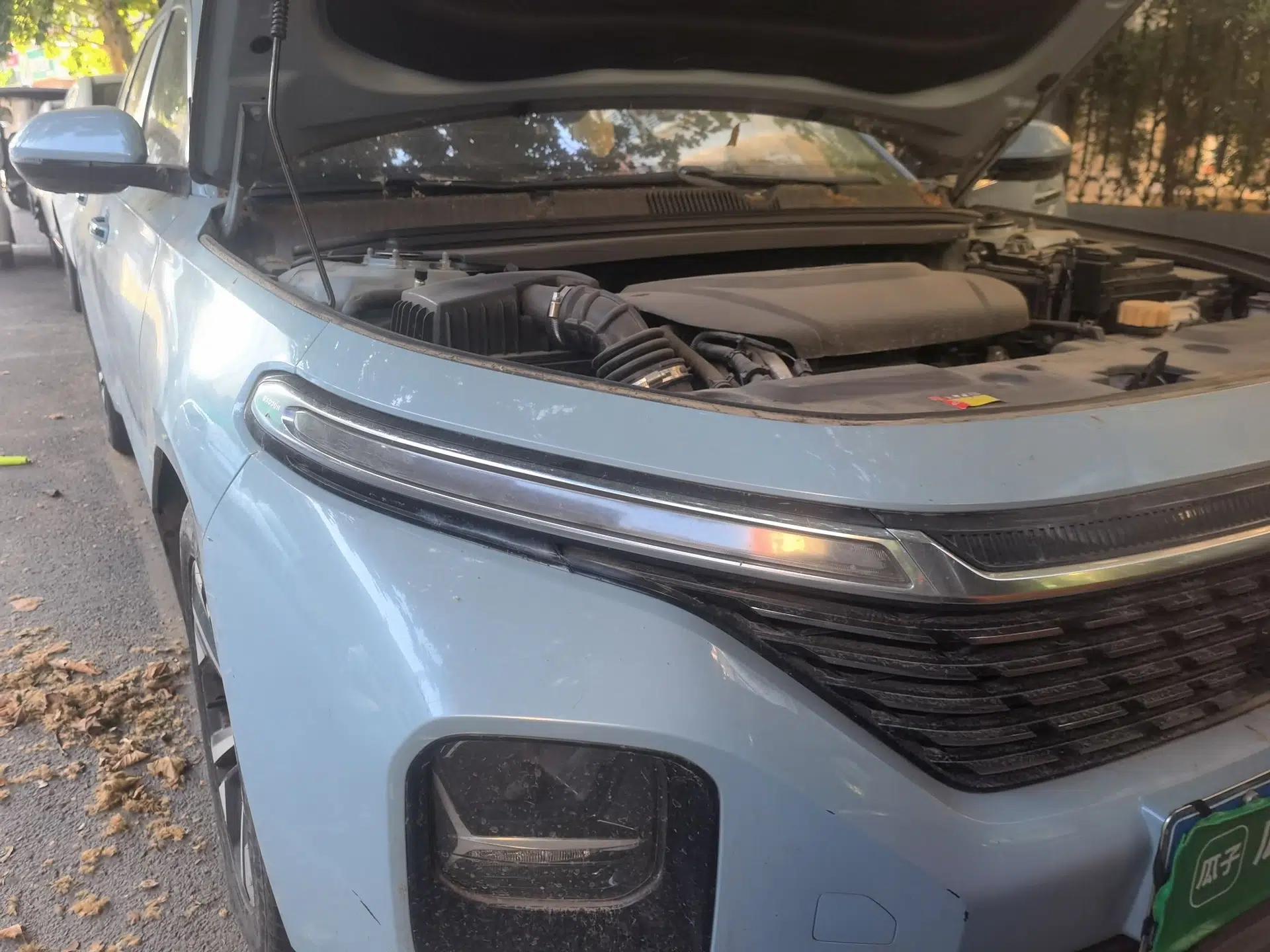 Baojun Valli 2021 1.5T Yili Pasture CVT Luxury Model — миниатюра 7