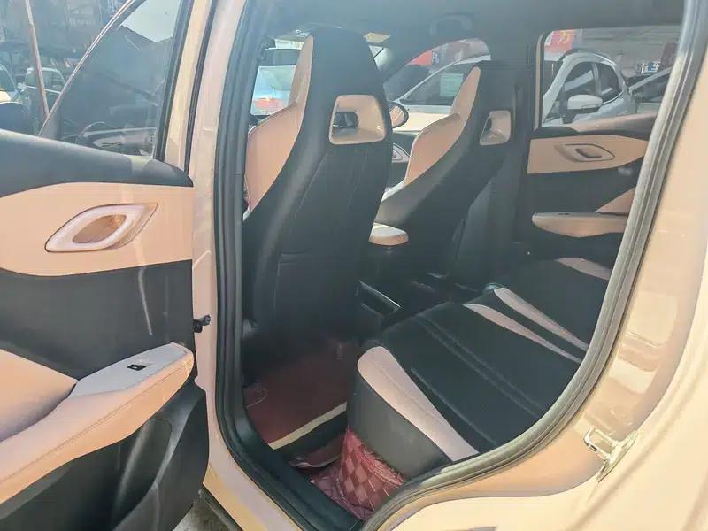 Seagull 2024 Glory Edition 305KM Vitality Edition — миниатюра 12