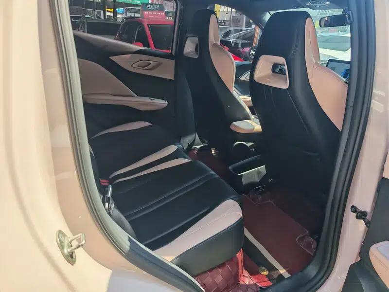 Seagull 2024 Glory Edition 305KM Vitality Edition — миниатюра 14