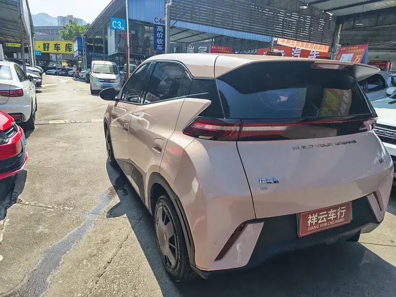 Seagull 2024 Glory Edition 305KM Vitality Edition — миниатюра 4