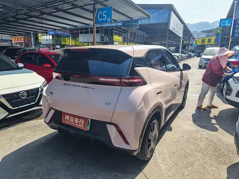 Seagull 2024 Glory Edition 305KM Vitality Edition — миниатюра 6