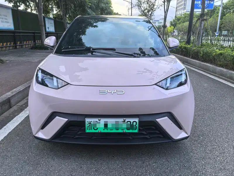 Seagull 2024 Glory Edition 305KM Vitality Edition — миниатюра 2