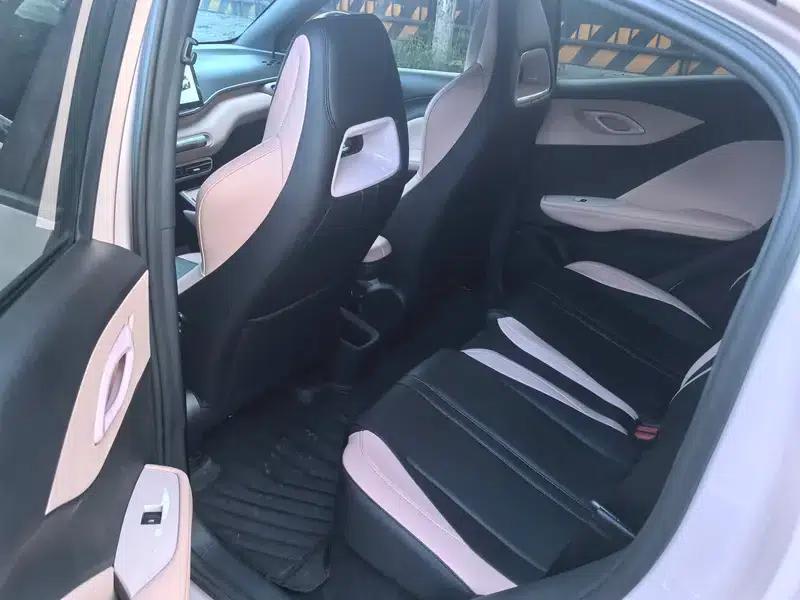 Seagull 2024 Glory Edition 305KM Vitality Edition — миниатюра 11