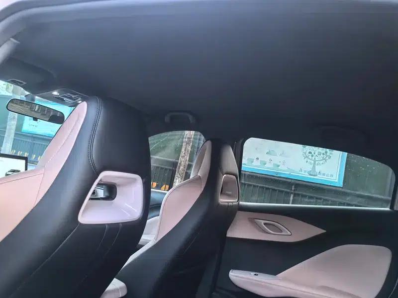 Seagull 2024 Glory Edition 305KM Vitality Edition — миниатюра 12