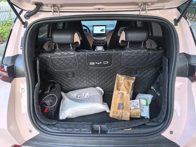 Seagull 2024 Glory Edition 305KM Vitality Edition — миниатюра 13