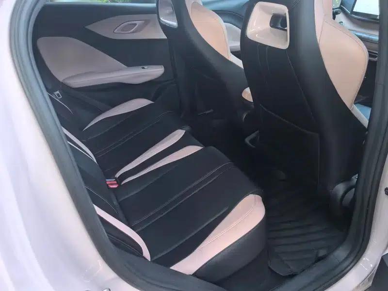 Seagull 2024 Glory Edition 305KM Vitality Edition — миниатюра 14