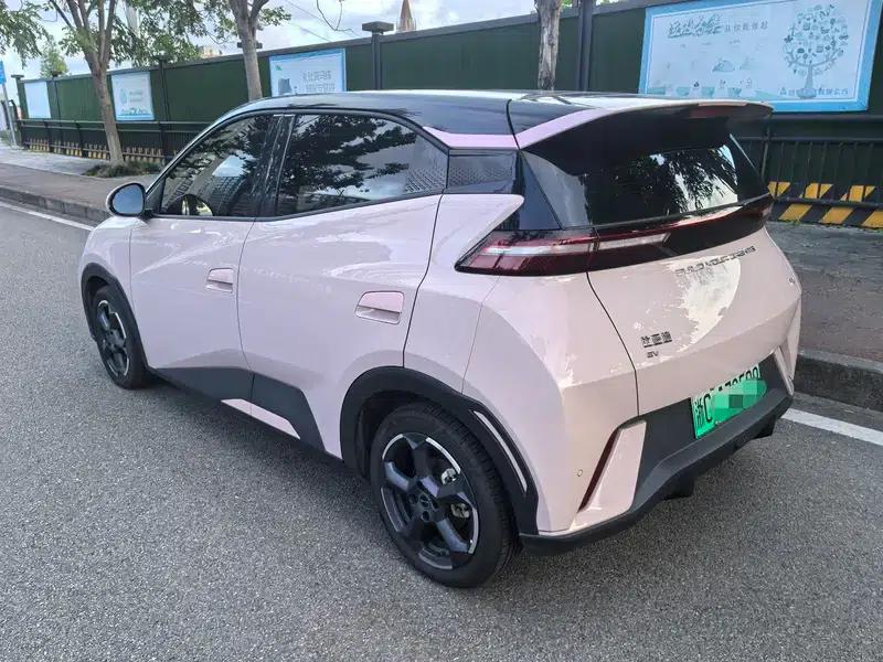 Seagull 2024 Glory Edition 305KM Vitality Edition — миниатюра 4