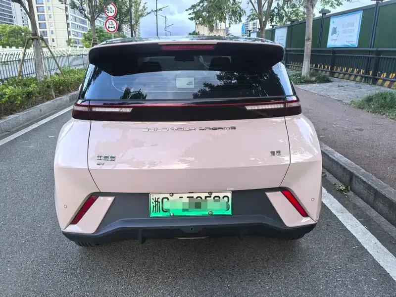 Seagull 2024 Glory Edition 305KM Vitality Edition — миниатюра 5