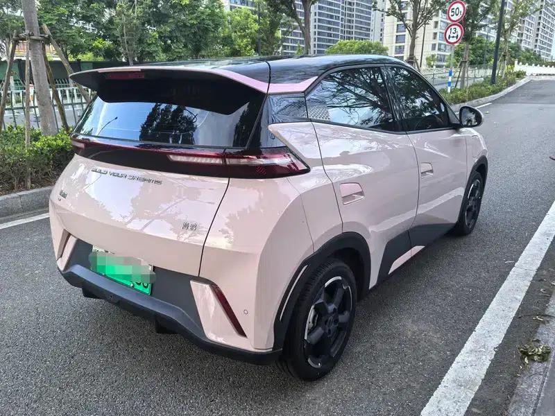 Seagull 2024 Glory Edition 305KM Vitality Edition — миниатюра 6