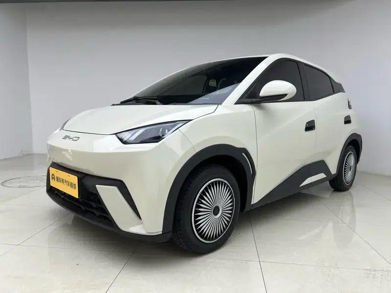 Seagull 2023 Vitality Edition — миниатюра 1