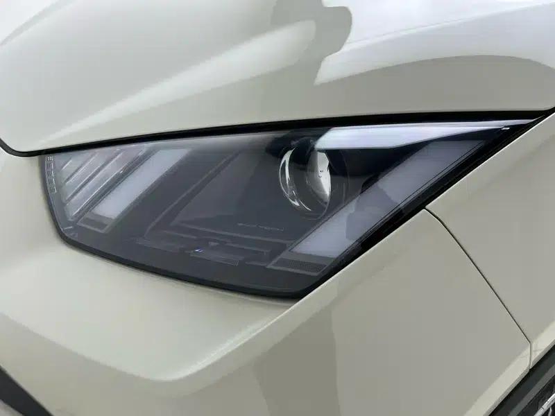 Seagull 2023 Vitality Edition — миниатюра 12