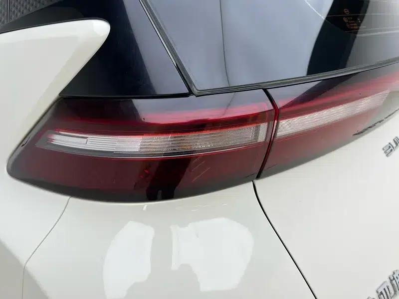Seagull 2023 Vitality Edition — миниатюра 13