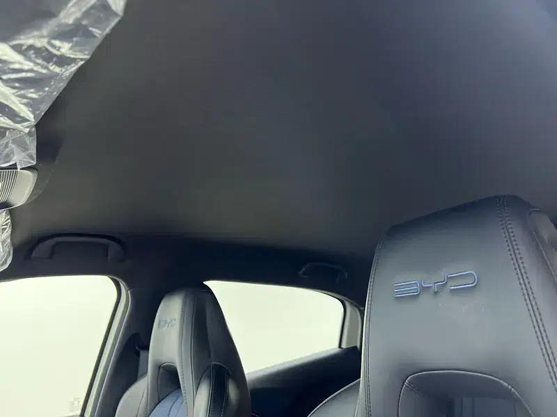 Seagull 2023 Vitality Edition — миниатюра 19