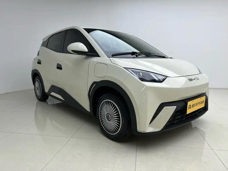 Seagull 2023 Vitality Edition — миниатюра 3