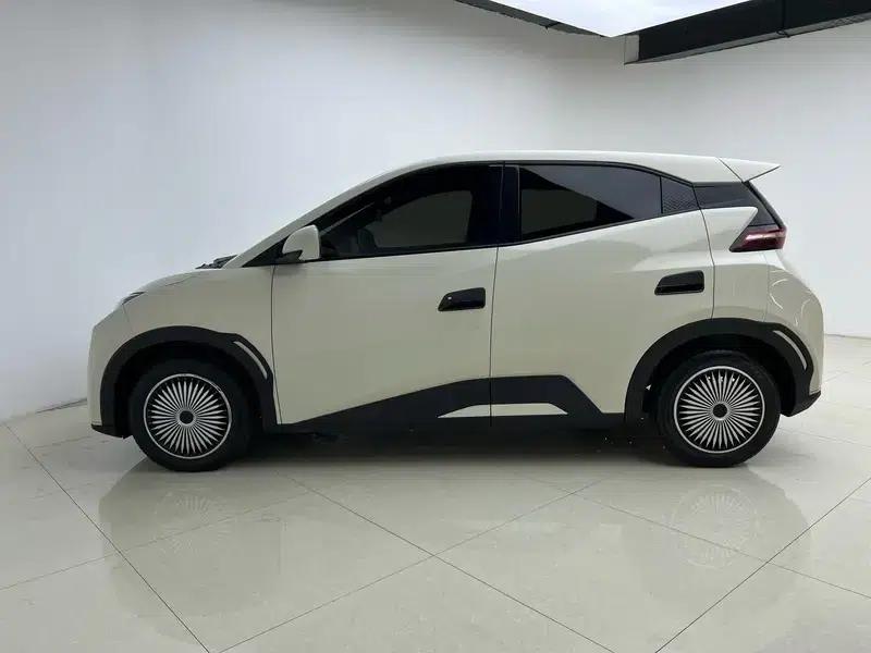 Seagull 2023 Vitality Edition — миниатюра 4