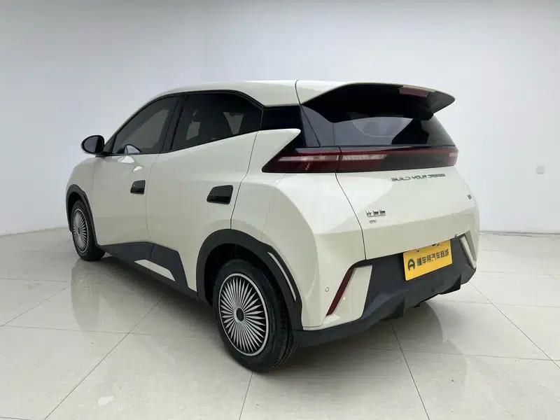 Seagull 2023 Vitality Edition — миниатюра 5