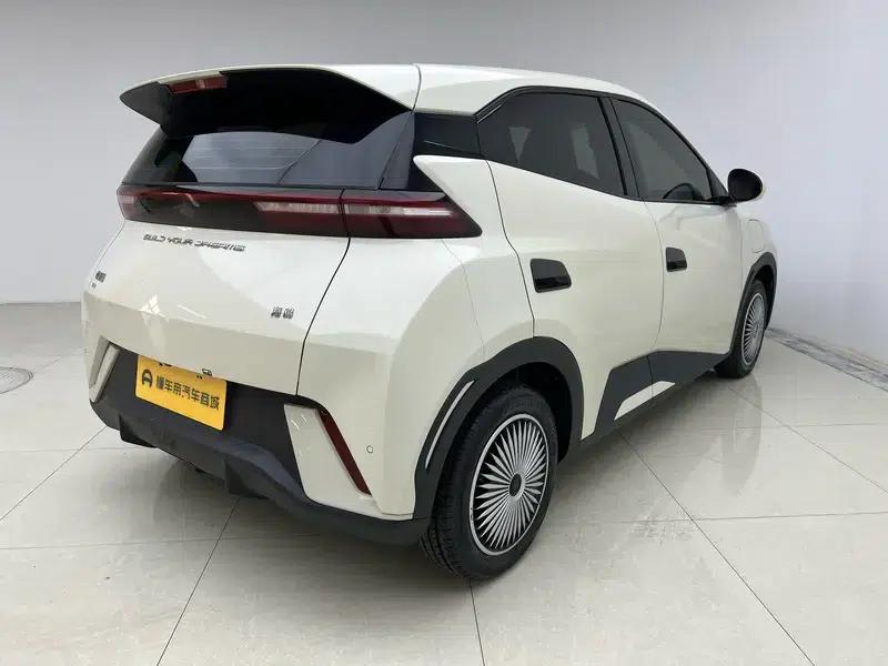 Seagull 2023 Vitality Edition — миниатюра 7