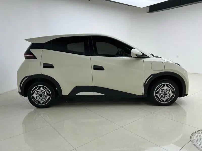 Seagull 2023 Vitality Edition — миниатюра 8