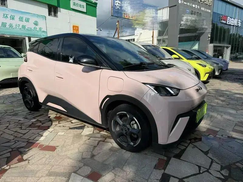 Seagull 2023 Freedom Edition — миниатюра 3