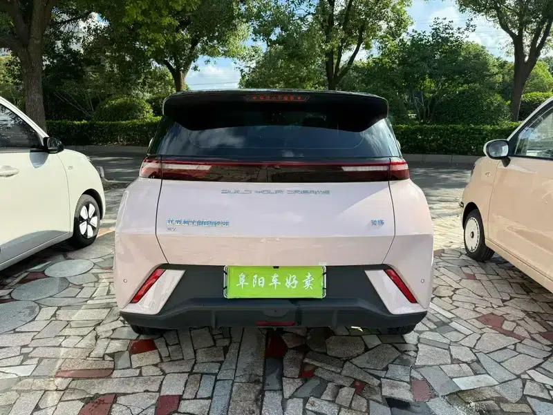 Seagull 2023 Freedom Edition — миниатюра 5
