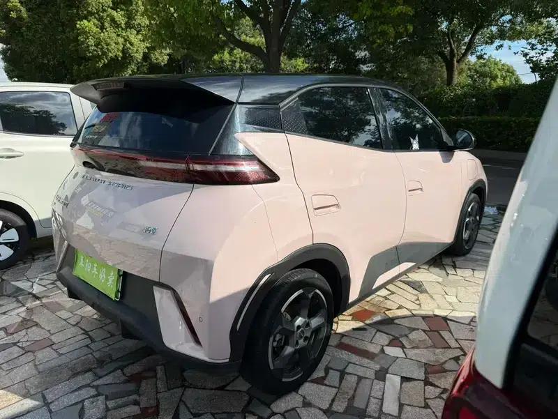 Seagull 2023 Freedom Edition — миниатюра 6
