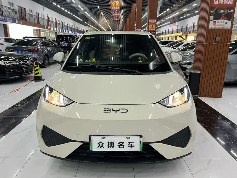 Seagull 2025 305KM Vitality Edition — миниатюра 2