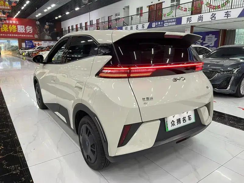 Seagull 2025 305KM Vitality Edition — миниатюра 3