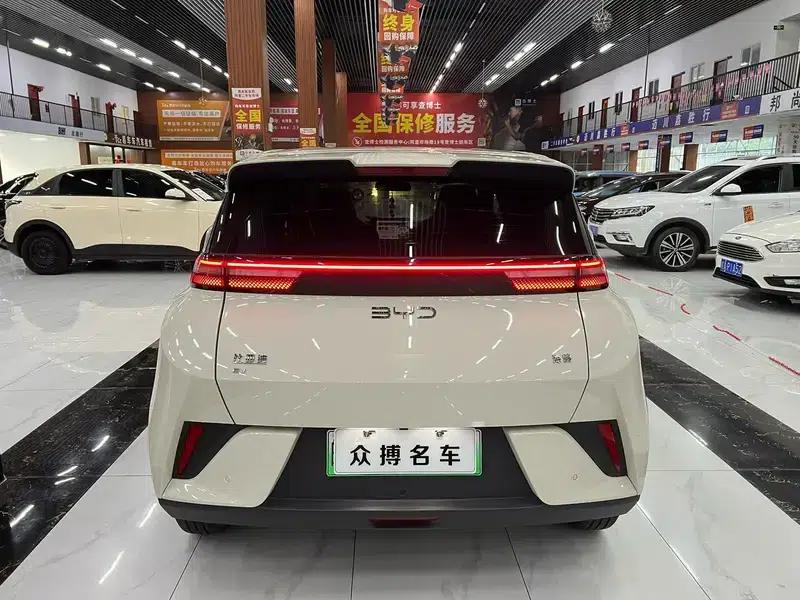Seagull 2025 305KM Vitality Edition — миниатюра 4