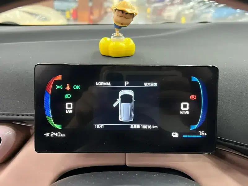 Seagull 2025 305KM Vitality Edition — миниатюра 6