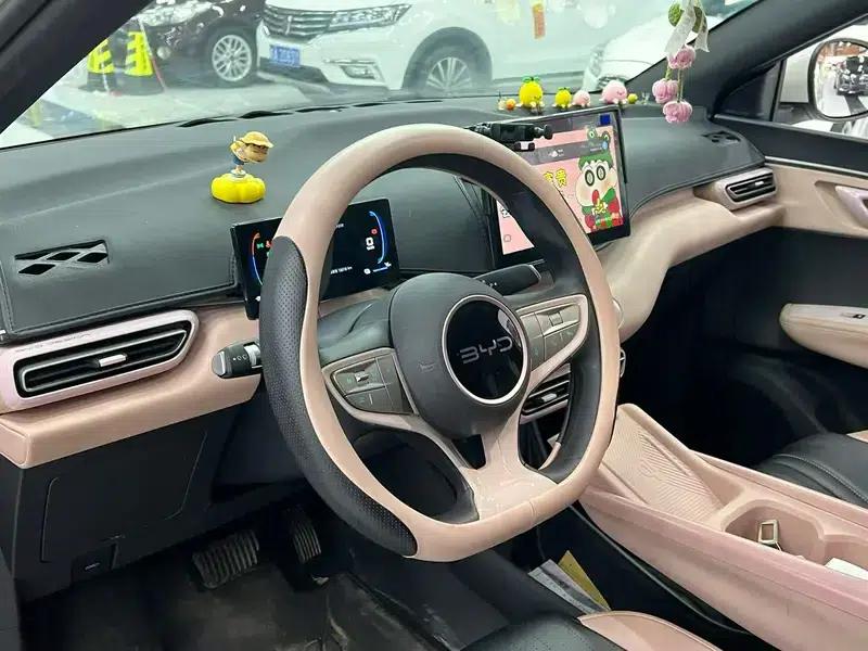 Seagull 2025 305KM Vitality Edition — миниатюра 7