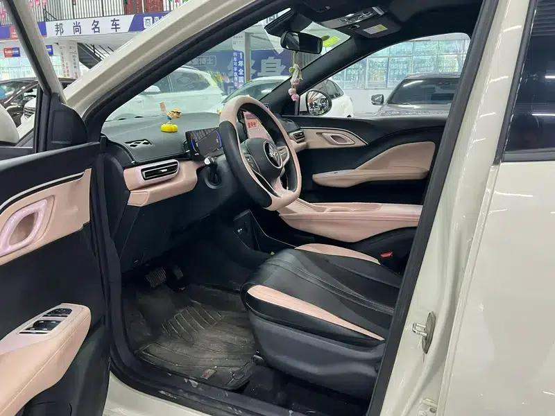 Seagull 2025 305KM Vitality Edition — миниатюра 8