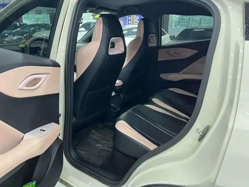 Seagull 2025 305KM Vitality Edition — миниатюра 9