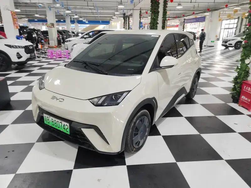 Seagull 2025 305KM Vitality Edition — миниатюра 1