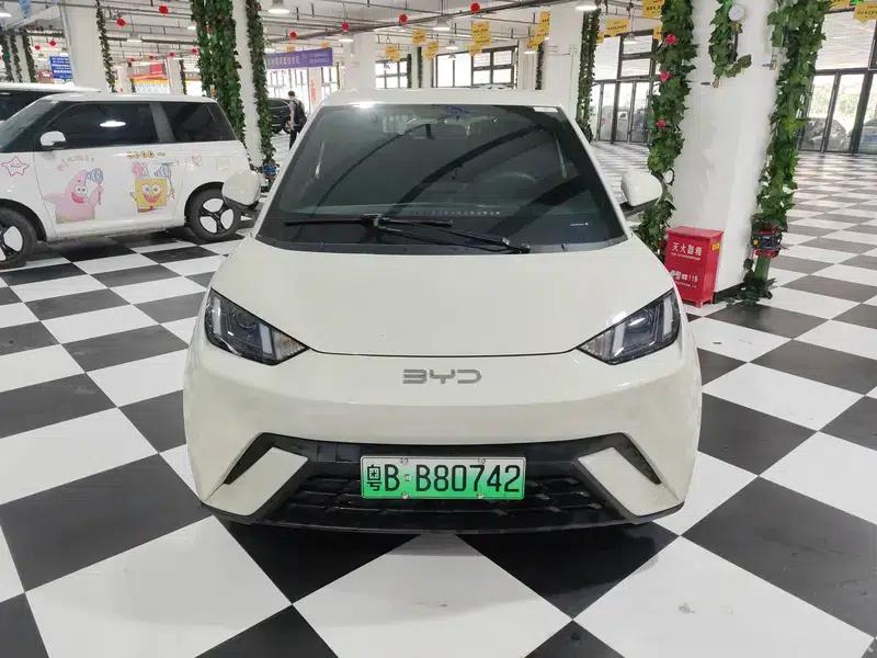 Seagull 2025 305KM Vitality Edition — миниатюра 2