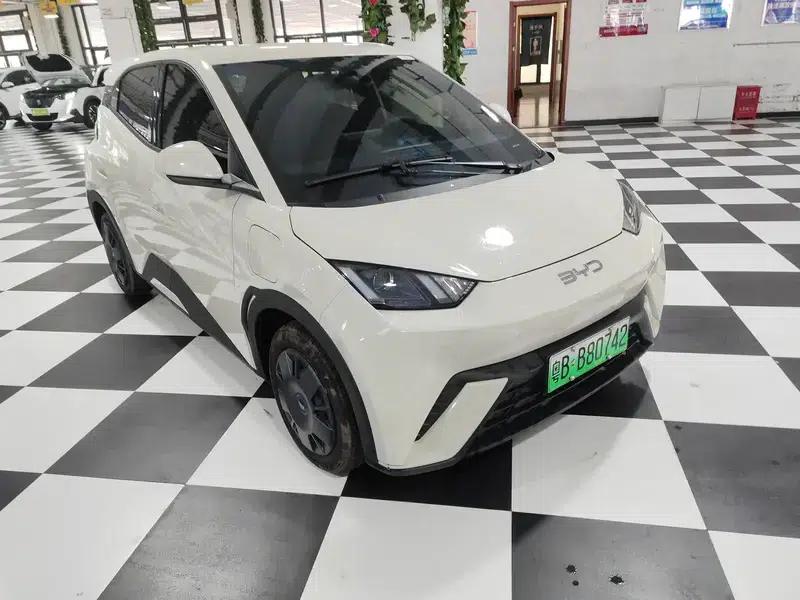 Seagull 2025 305KM Vitality Edition — миниатюра 3